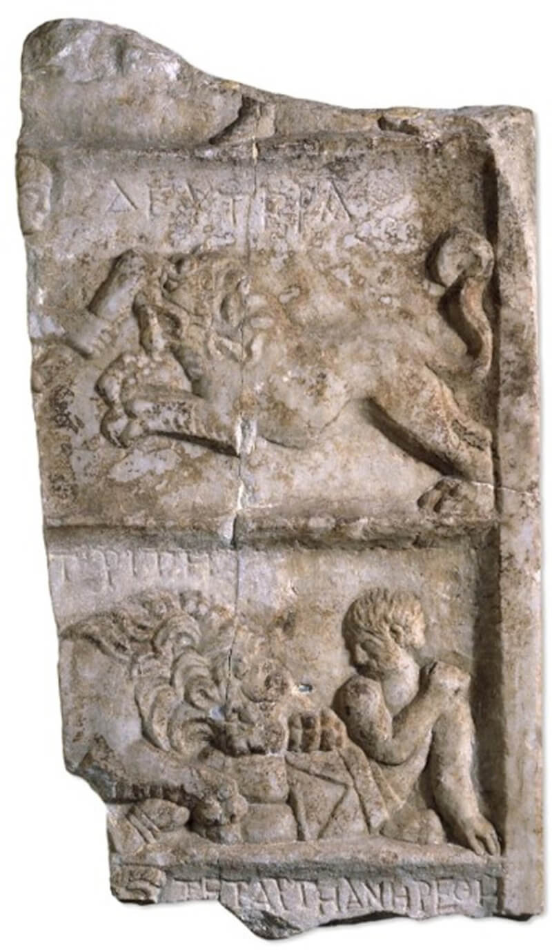 Bites on Roman gladiator’s skeleton first hard proof of combat with lion